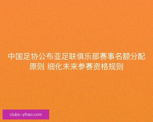 中国足协公布亚足联俱乐部赛事名额分配原则 细化未来参赛资格规则